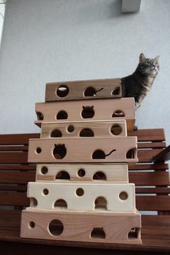 "Du haut de ces MiaouBoites,<br/>40 siècles vous contemplent !"