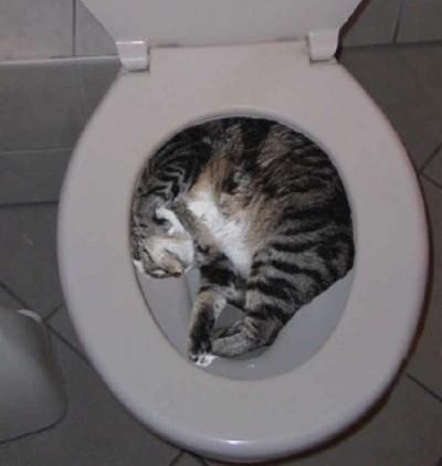 Comment éviter les fuites nocturnes...